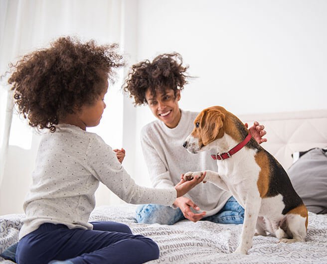 Fusion Allergy Family Playing With Their Pet On A Bet